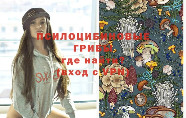 PSILOCYBIN Видное