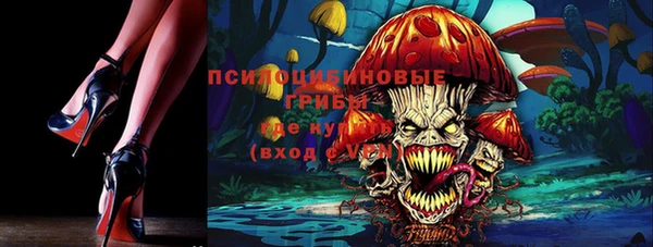 гашик Белоозёрский