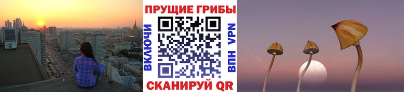 где найти наркотики Дагестанские Огни Псилоцибиновые грибы мухоморы