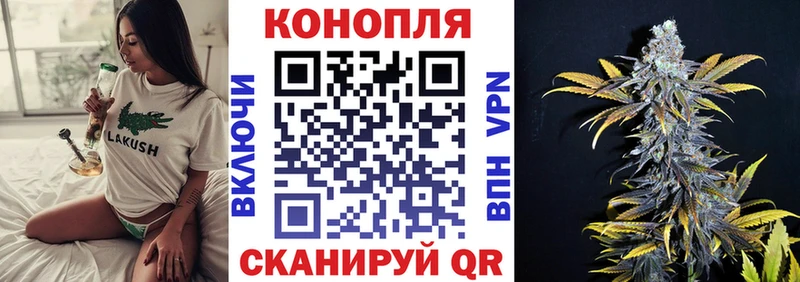 Конопля Bruce Banner  купить наркотик  Дагестанские Огни 